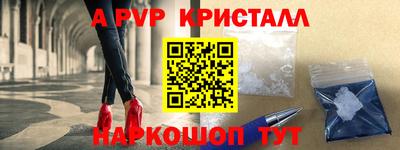 дмт Аргун