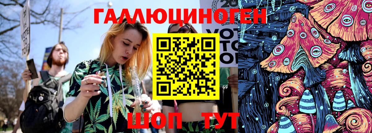 Бор  Псилоцибиновые грибы прущие грибы  Вход с VPN  что такое   Псилоцибиновые грибы GOLDEN TEACHER 
